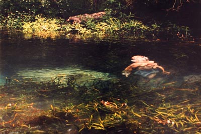 Wakulla Springs #4