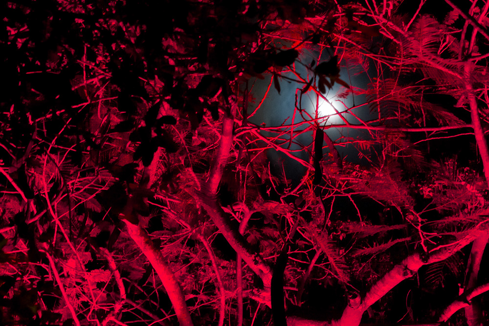 %_tempFileNameEverglades%202014%20086%