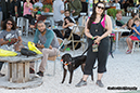 _DSC8064